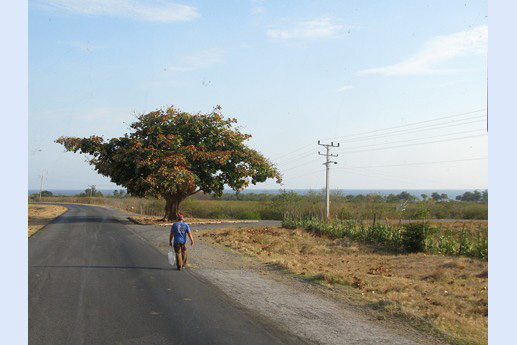 Cuba 2011