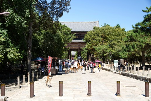Giappone 2013