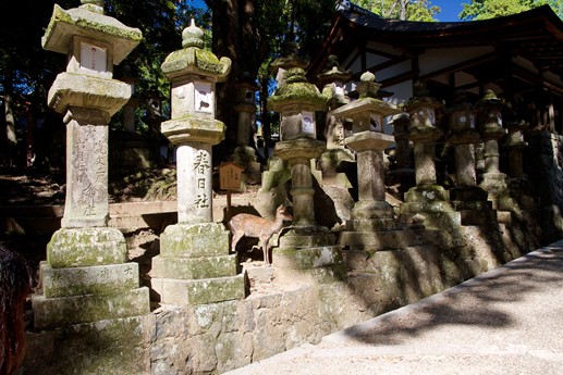 Giappone 2013