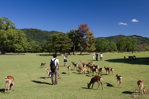 Giappone 2013