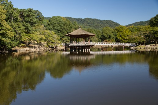 Giappone 2013