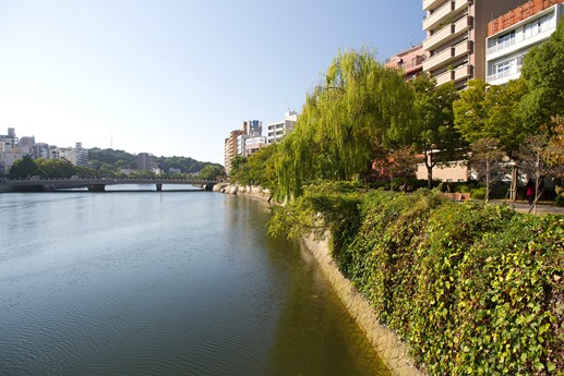 Giappone 2013