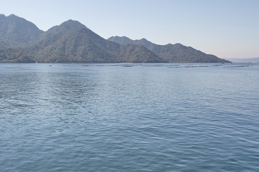 Giappone 2013