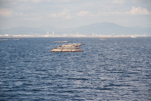 Giappone 2013