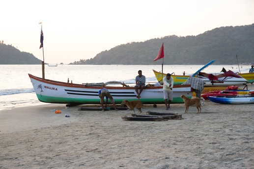 Goa 2014