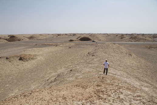 Iran 2015 - Kerman