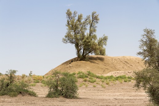 Iran 2015 - Kerman