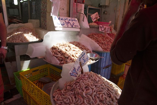 Iran 2015 - Shiraz