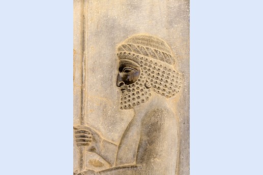 Iran 2015 - Persepoli