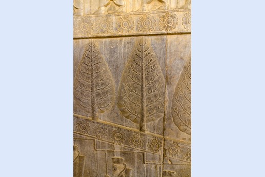 Iran 2015 - Persepoli