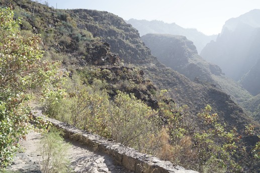 Tenerife - Barranco del Infierno