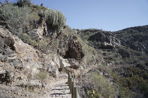 Tenerife - Barranco del Infierno