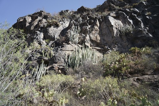 Tenerife - Barranco del Infierno