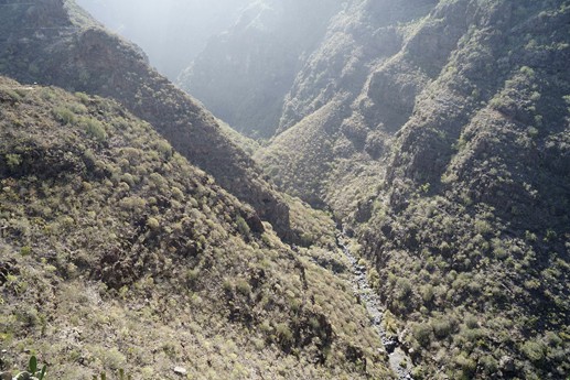 Tenerife - Barranco del Infierno