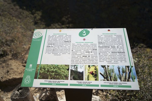 Tenerife - Barranco del Infierno