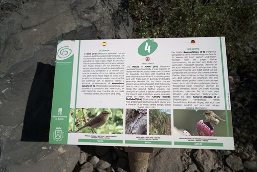 Tenerife - Barranco del Infierno