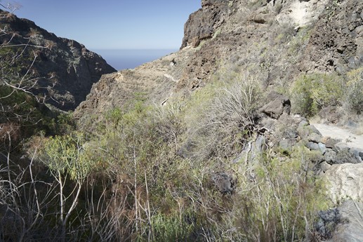Tenerife - Barranco del Infierno
