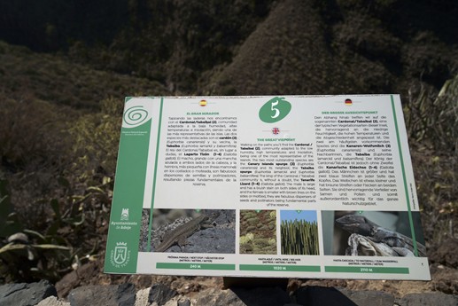 Tenerife - Barranco del Infierno