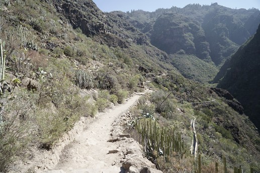 Tenerife - Barranco del Infierno