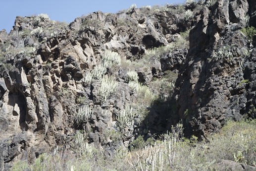 Tenerife - Barranco del Infierno