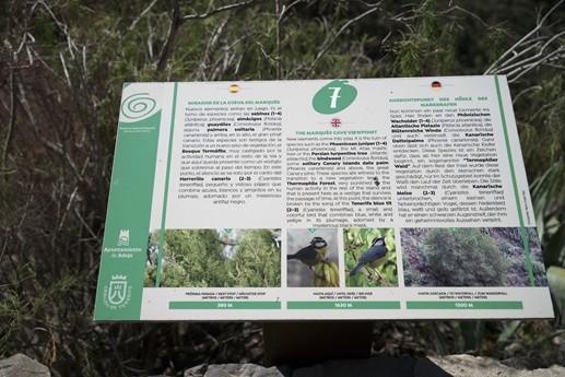 Tenerife - Barranco del Infierno