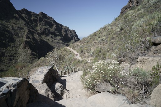 Tenerife - Barranco del Infierno