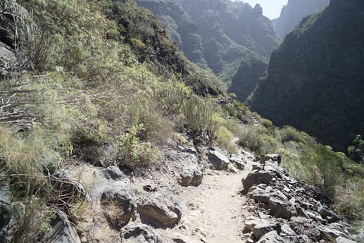 Tenerife - Barranco del Infierno