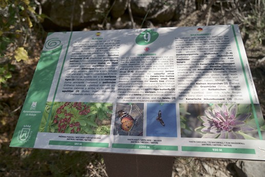 Tenerife - Barranco del Infierno
