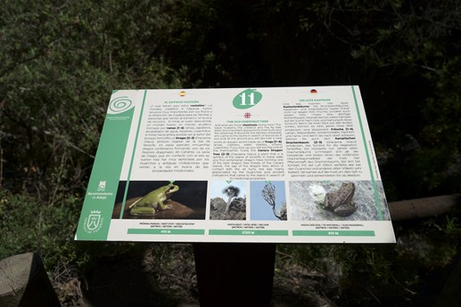 Tenerife - Barranco del Infierno
