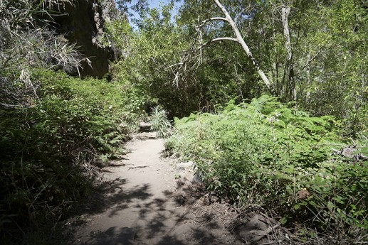 Tenerife - Barranco del Infierno