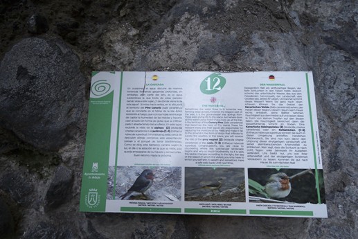 Tenerife - Barranco del Infierno