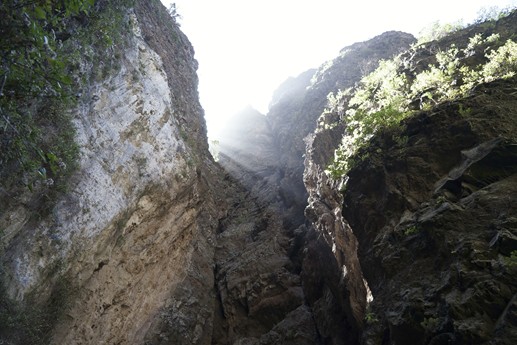 Tenerife - Barranco del Infierno