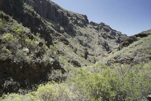 Tenerife - Barranco del Infierno