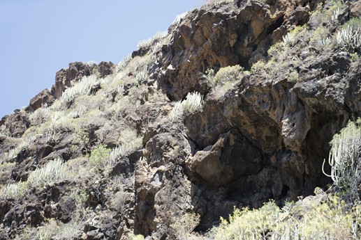 Tenerife - Barranco del Infierno