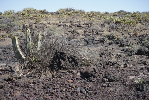 Tenerife - Faro del Teno