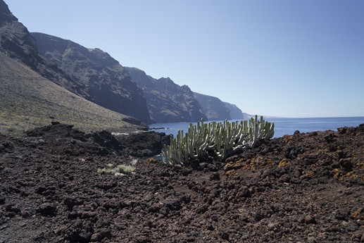 Tenerife - Faro del Teno