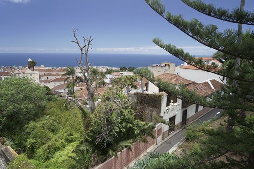 Tenerife - La Orotava, Alfombras del Corpus Christi