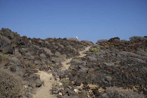 Tenerife - Faro de Rasca