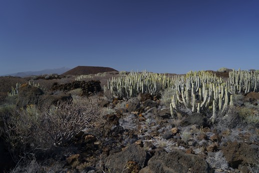 Tenerife - Faro de Rasca