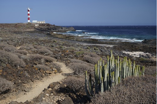 Tenerife - Faro de Rasca