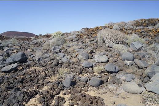 Tenerife - Faro de Rasca