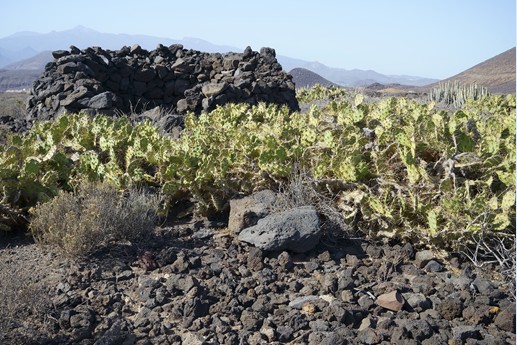 Tenerife - Faro de Rasca