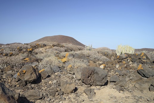 Tenerife - Faro de Rasca