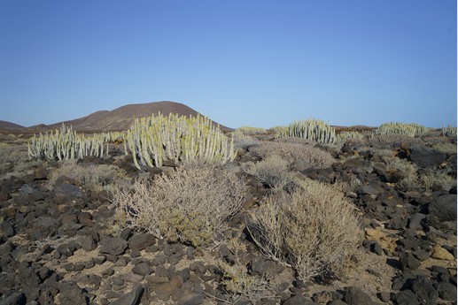 Tenerife - Faro de Rasca