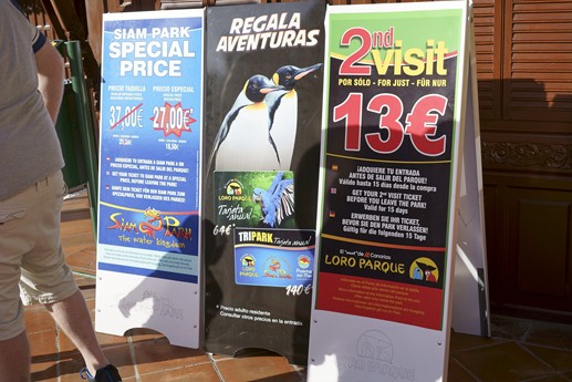 Tenerife - Loro Parque