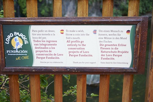 Tenerife - Loro Parque