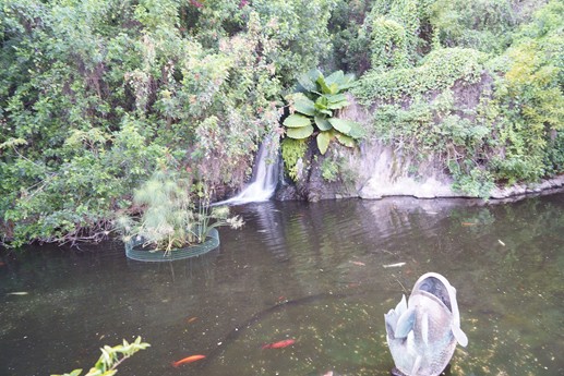 Tenerife - Loro Parque