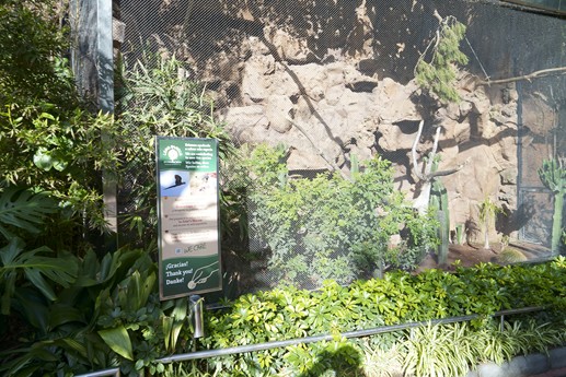 Tenerife - Loro Parque