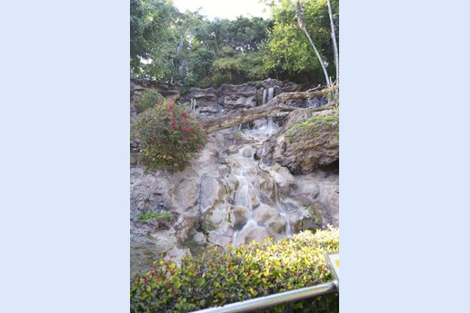 Tenerife - Loro Parque