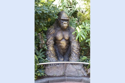 Tenerife - Loro Parque